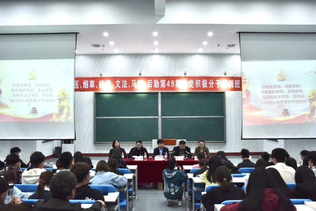 ���ֶ�������ҳ��