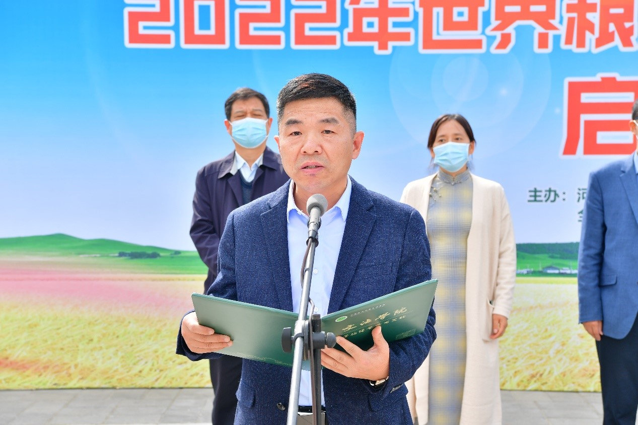 欢乐斗地主网页版