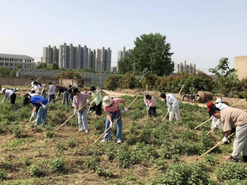 ���ֶ�������ҳ��