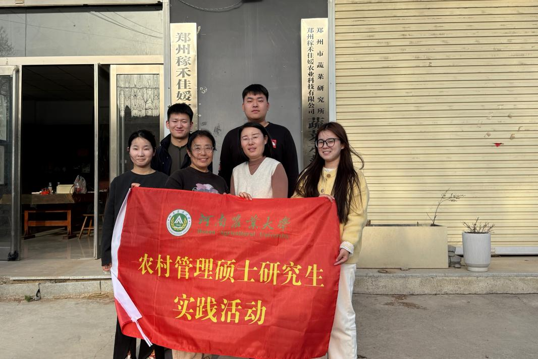 ���ֶ�������ҳ��