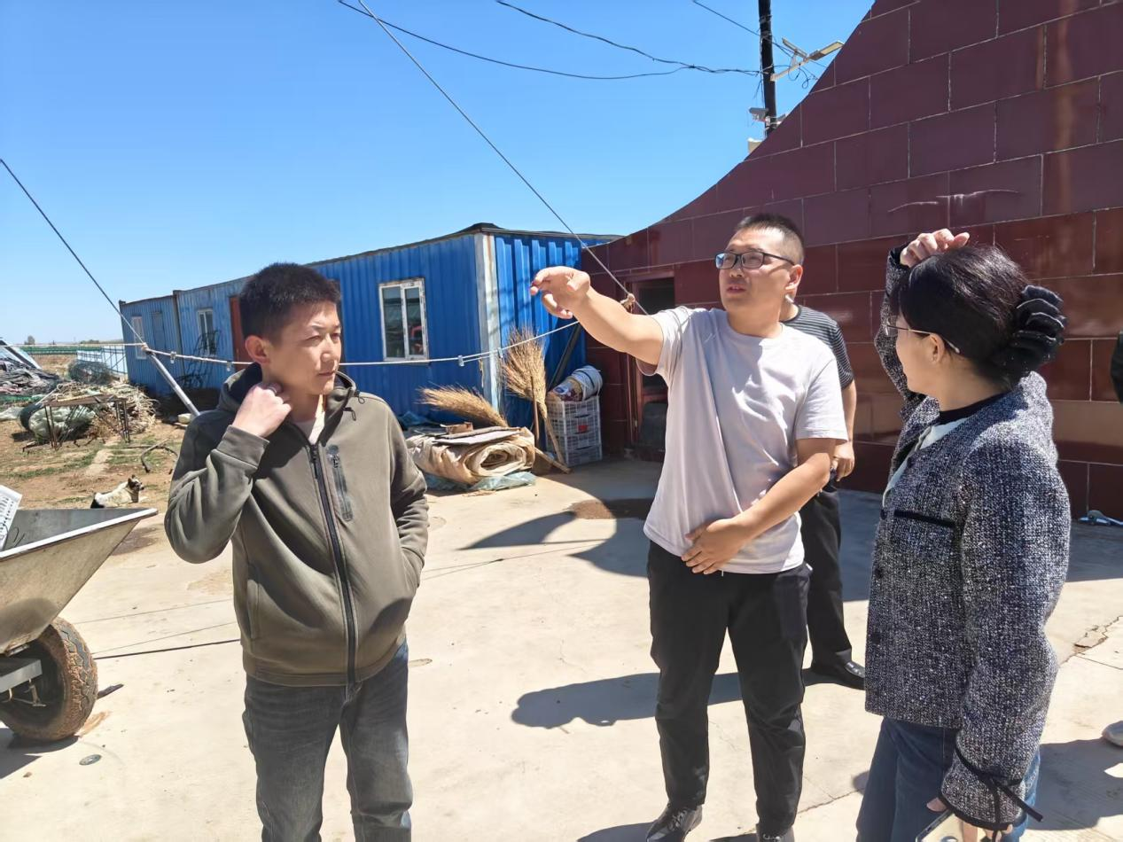 欢乐斗地主网页版