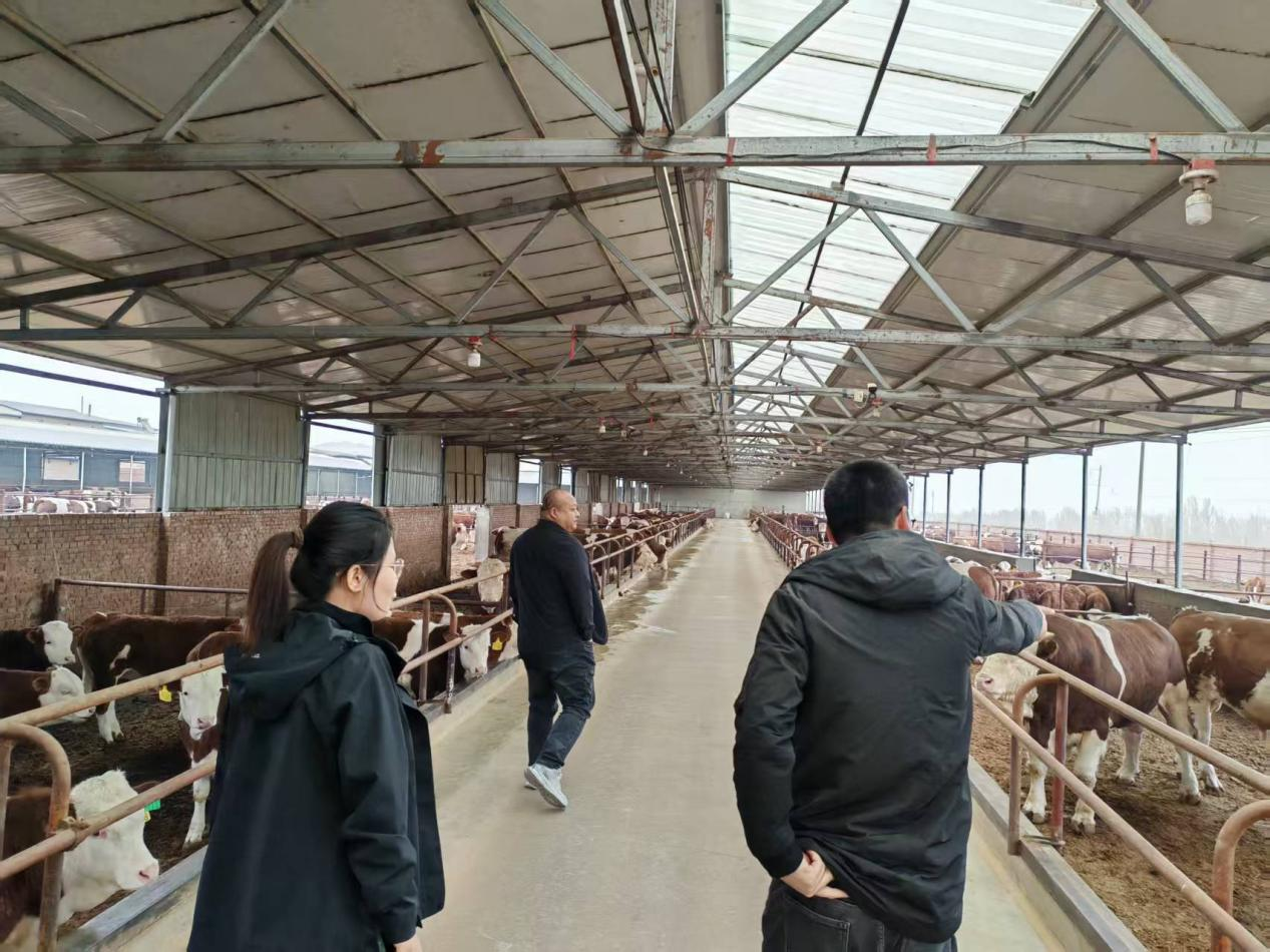 欢乐斗地主网页版