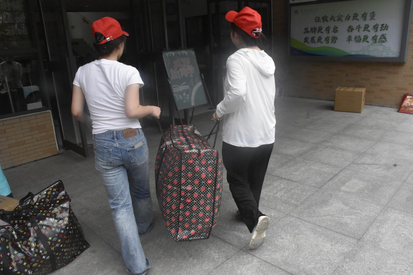 ���ֶ�������ҳ��