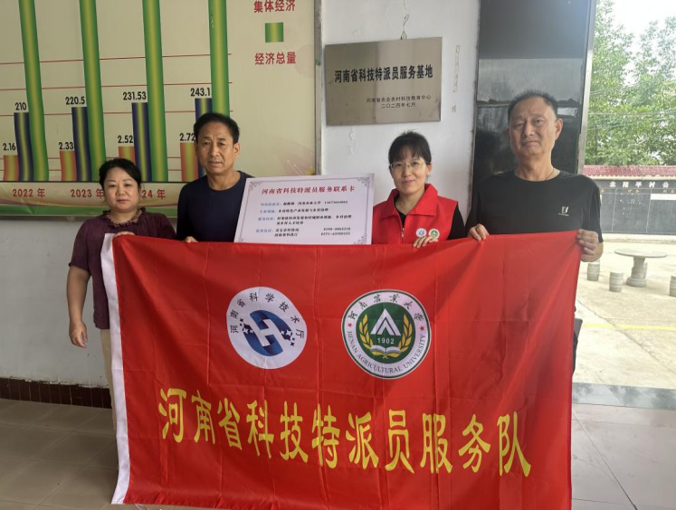 ���ֶ�������ҳ��