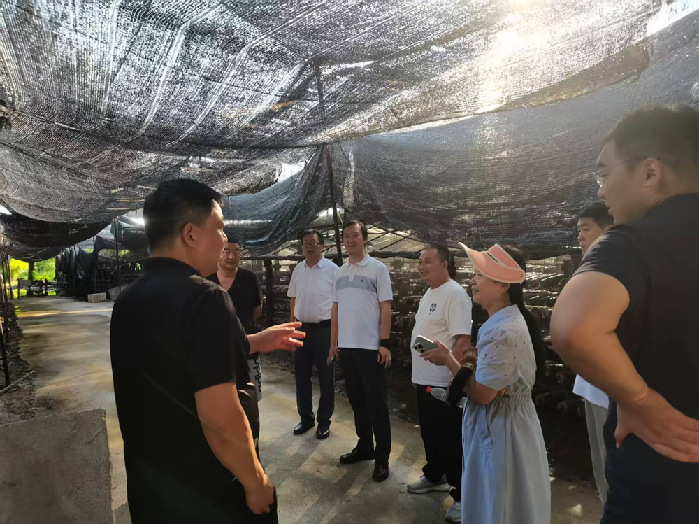 ���ֶ�������ҳ��