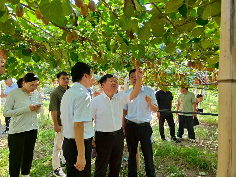 ���ֶ�������ҳ��