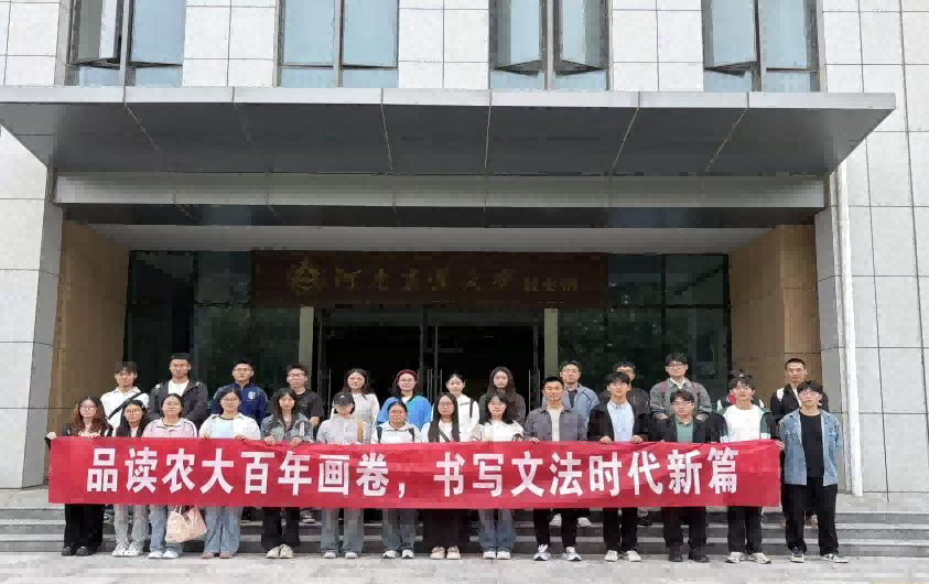 欢乐斗地主网页版