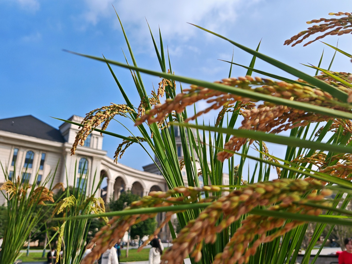 ���ֶ�������ҳ��