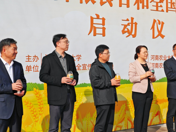 ���ֶ�������ҳ��