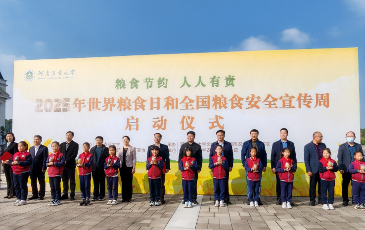 ���ֶ�������ҳ��