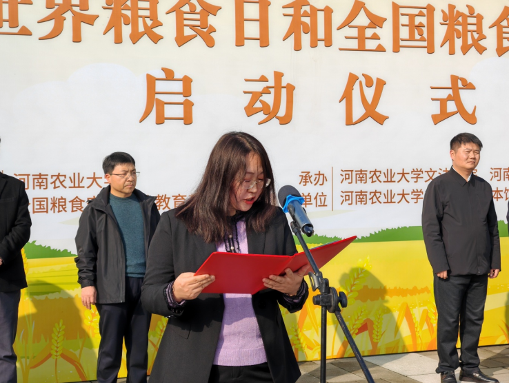 ���ֶ�������ҳ��