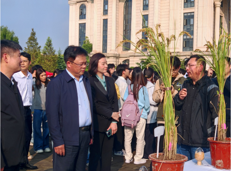 ���ֶ�������ҳ��