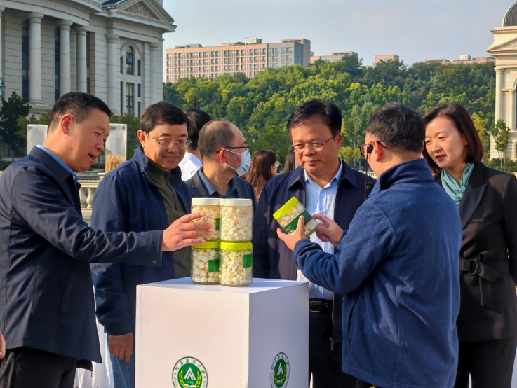 ���ֶ�������ҳ��