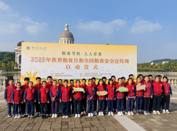 ���ֶ�������ҳ��