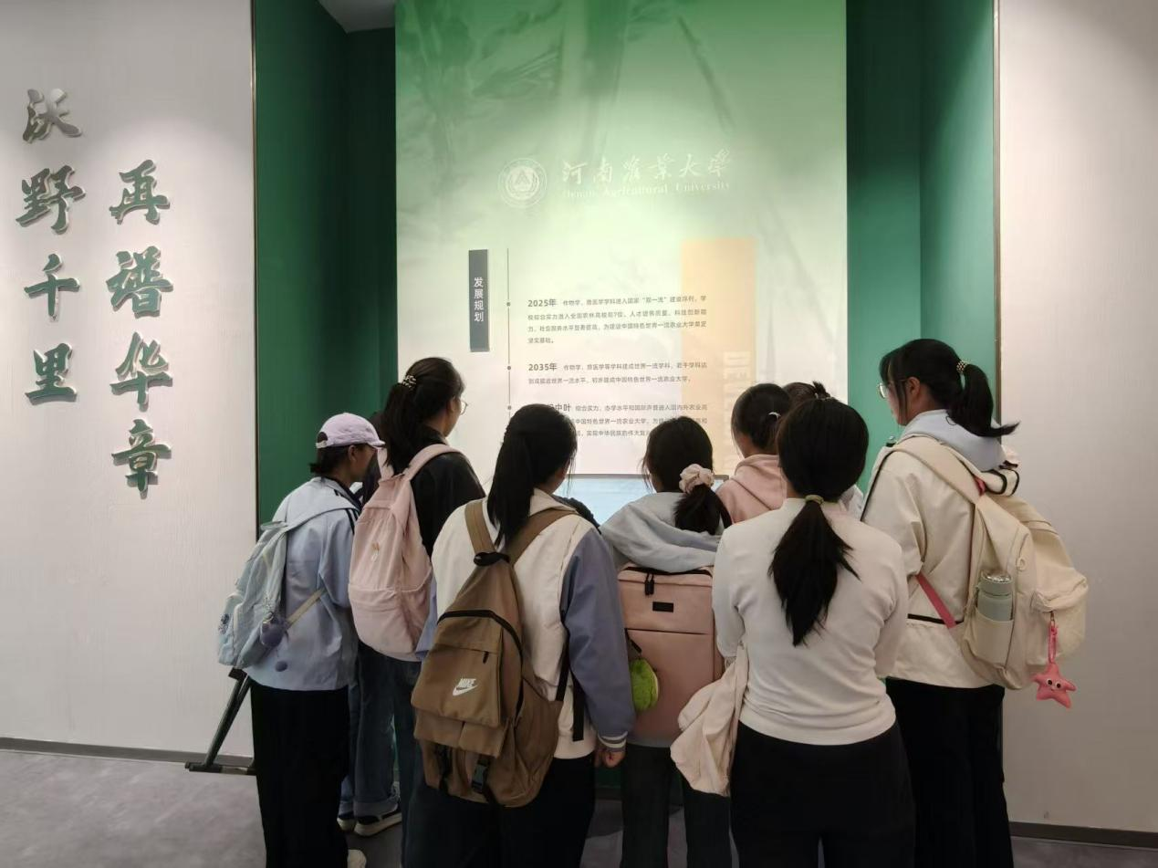 ���ֶ�������ҳ��