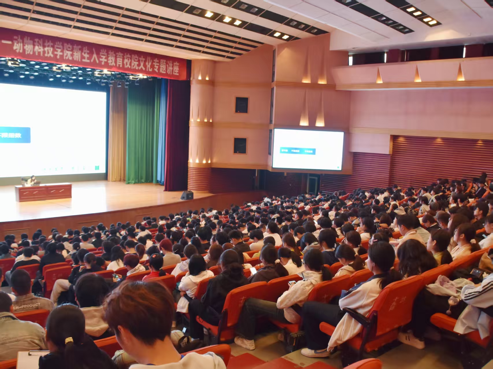 ���ֶ�������ҳ��