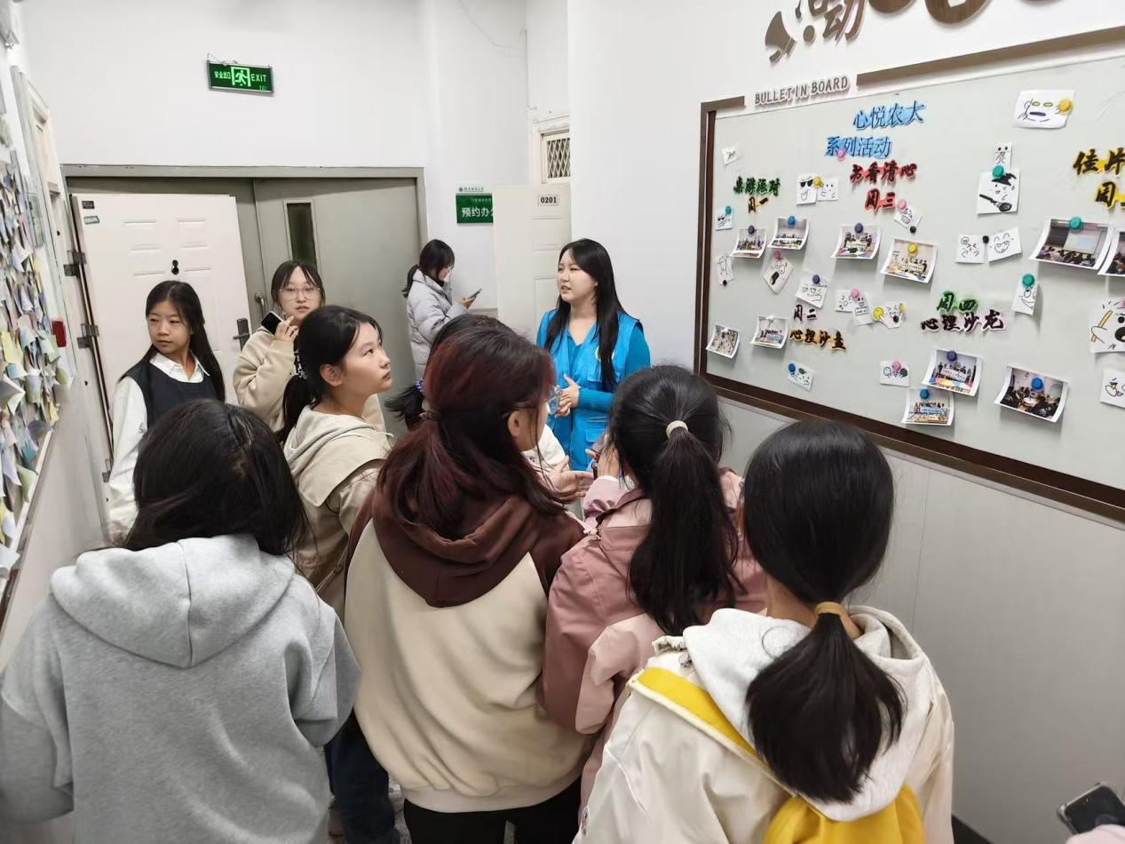 ���ֶ�������ҳ��