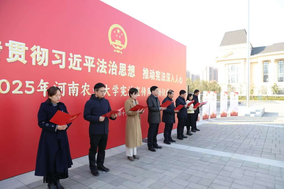 欢乐斗地主网页版