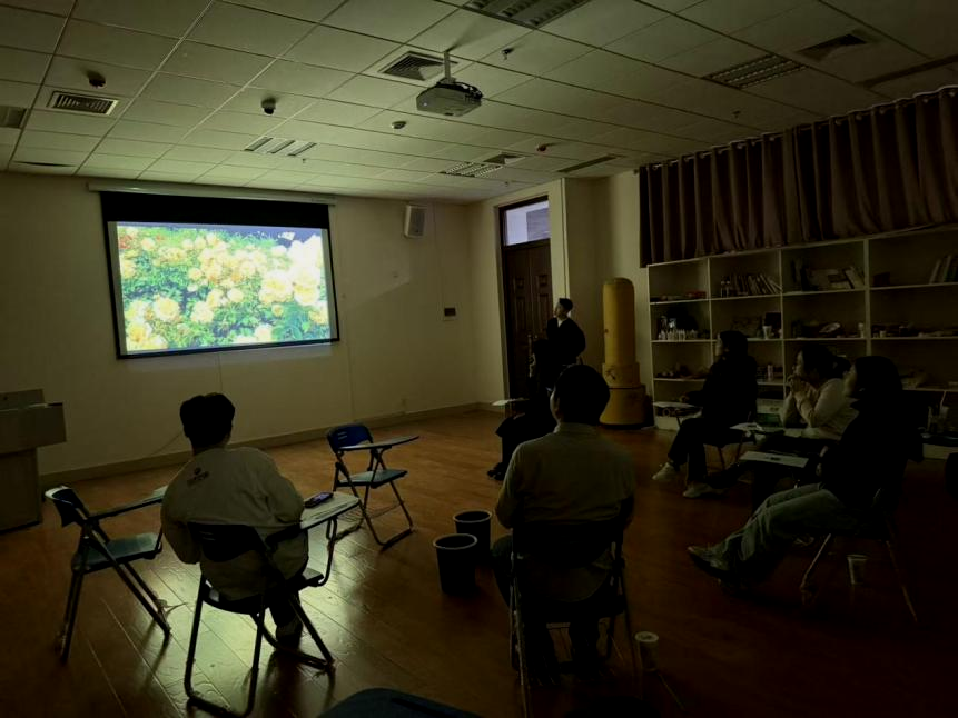 ���ֶ�������ҳ��