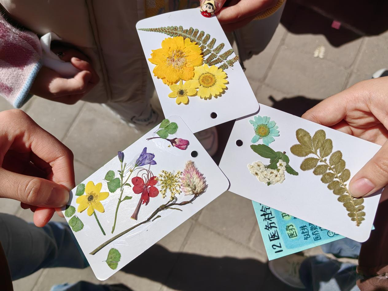 ���ֶ�������ҳ��