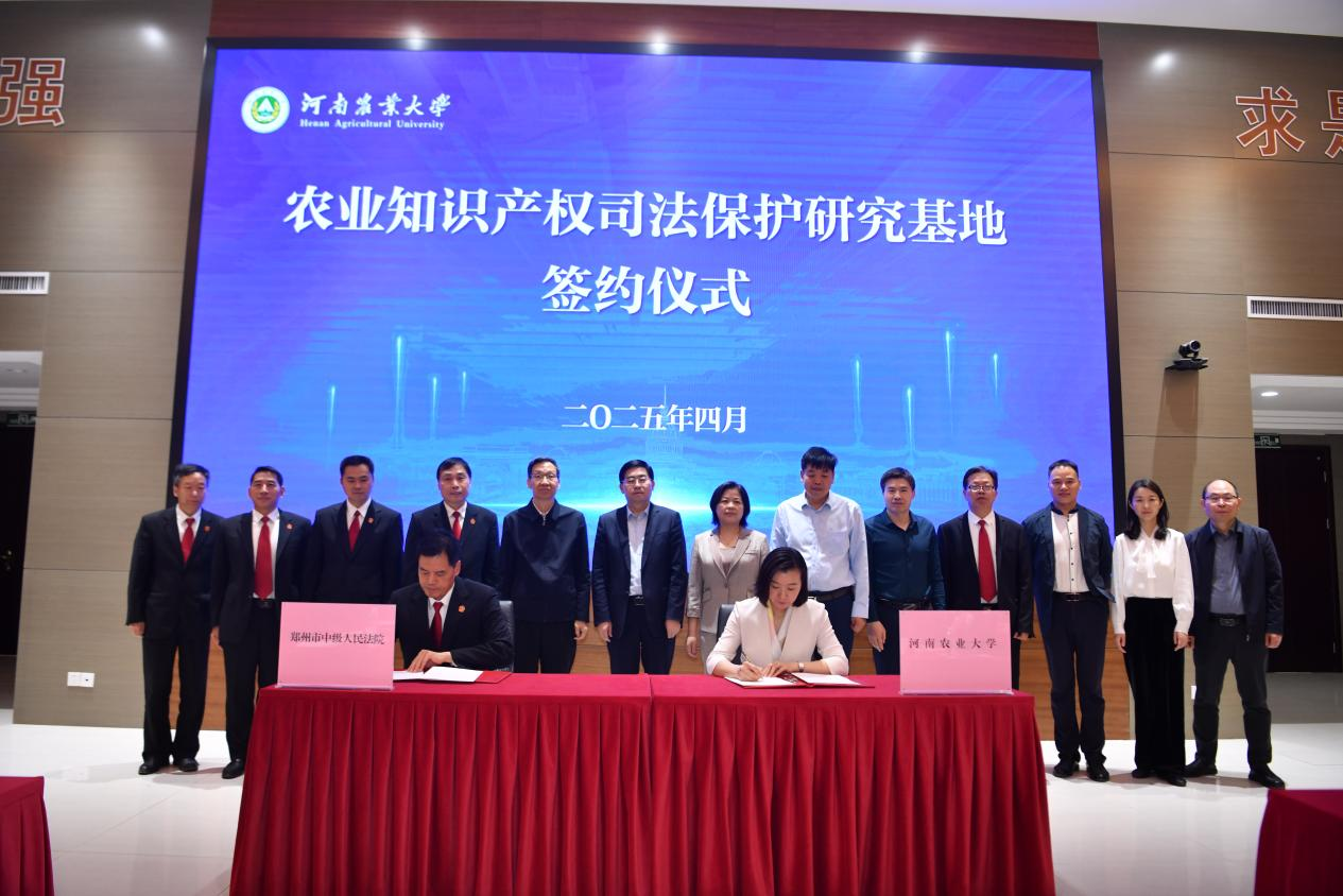 ���ֶ�������ҳ��