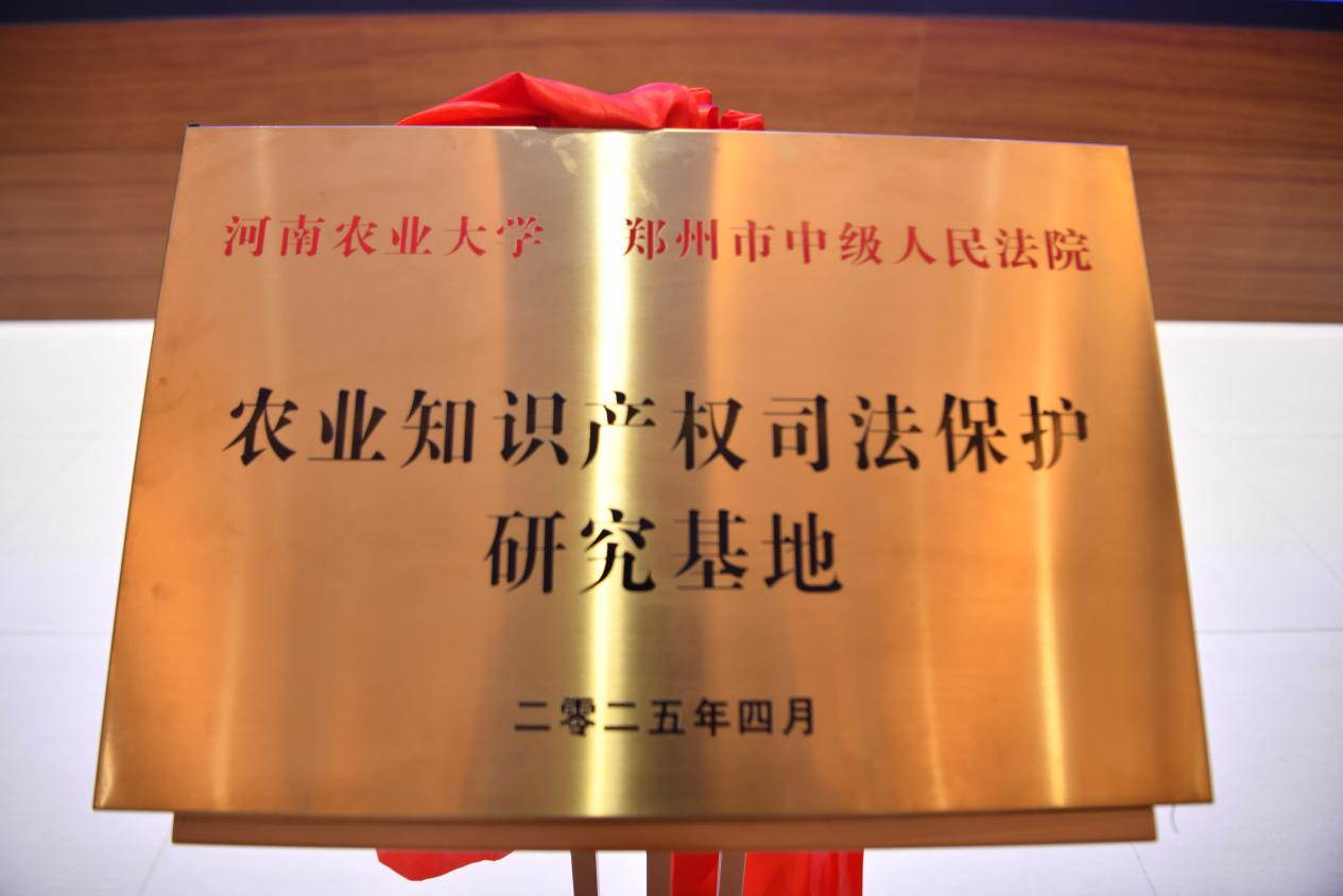 ���ֶ�������ҳ��