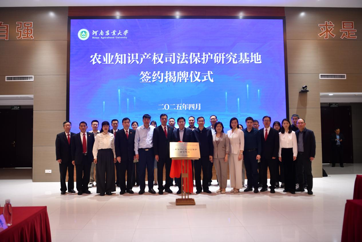 ���ֶ�������ҳ��