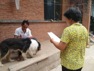 ���ֶ�������ҳ��