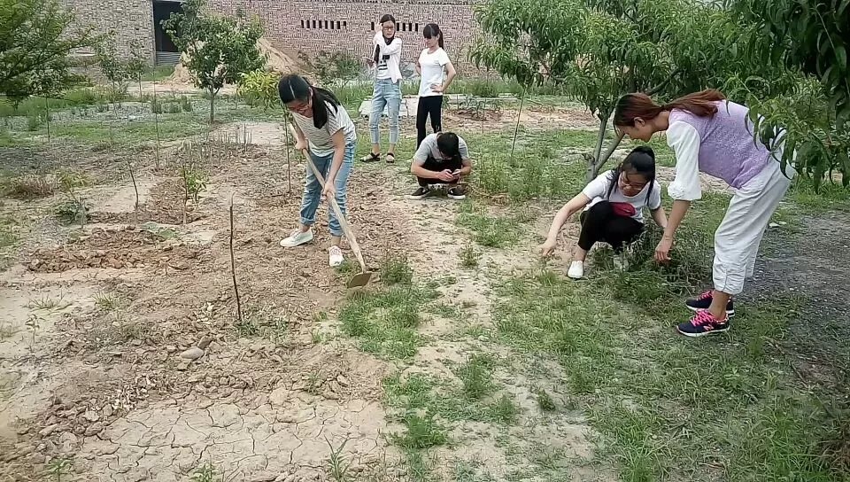 欢乐斗地主网页版