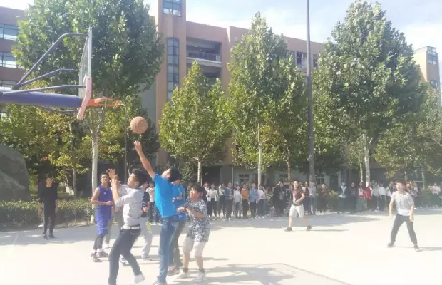 ���ֶ�������ҳ��