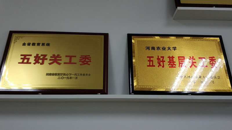 ���ֶ�������ҳ��