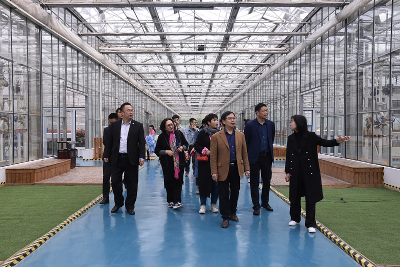 ���ֶ�������ҳ��