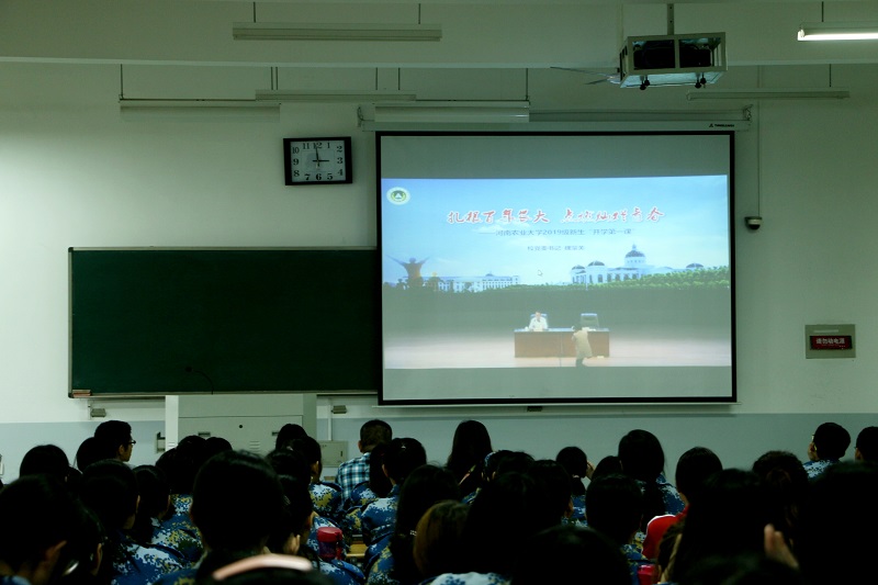 ���ֶ�������ҳ��