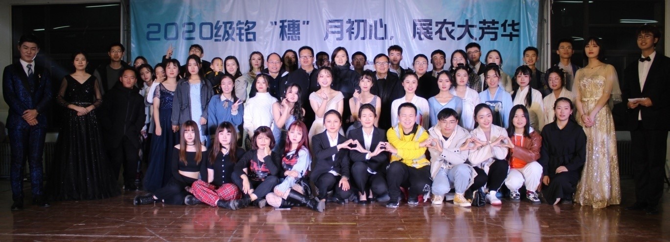 ���ֶ�������ҳ��