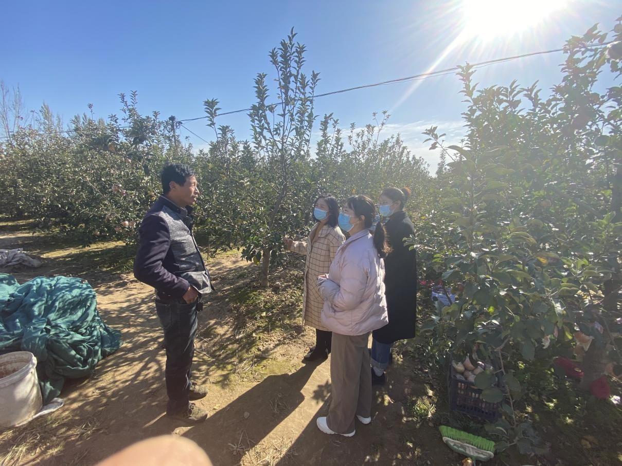 ���ֶ�������ҳ��