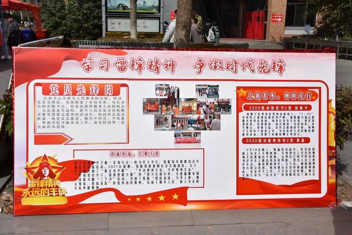 ���ֶ�������ҳ��